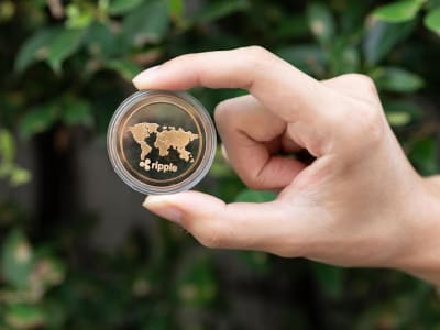 Analis Terkenal Sebut XRP 'Banking Meme Coin' dan Prediksi Musim Altcoin Baru