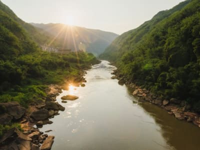 Tiongkok Bongkar Ratusan Bendungan untuk Selamatkan Ikan Langka Sungai Yangtze