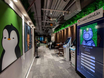 Token PENGU Si Burung Penguin, Sukses Lampaui Bitcoin dan Tokoh Kripto Lain