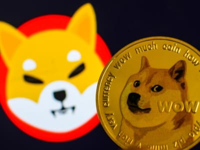 Dogecoin dan Shiba Inu Pimpin Rally Spektakuler di Pasar Kripto