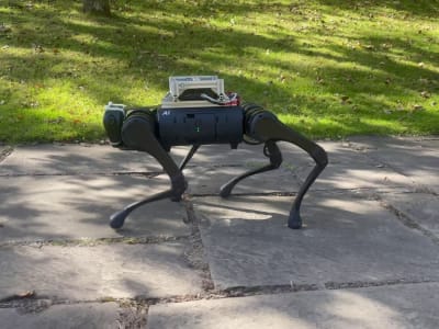 Robot Berkaki Empat Beradaptasi Sendiri dengan Medan Baru seperti Hewan