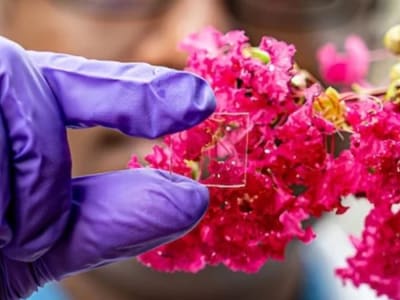 Pelapis Kaca Baru Tahan Panas dan Cuaca untuk Hemat Energi Bangunan