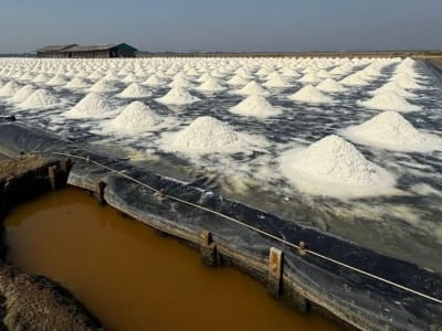 Teknologi Termodifusi ANU Revolusioner Tingkatkan Efisiensi Ekstraksi Lithium dan Desalinasi