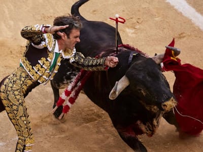 Kenaikan Besar XLM dan Prediksi Musim Altcoin Monster Usai Bitcoin Rekor