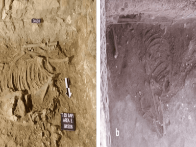 Penemuan Keledai Pengorbanan Mengubah Pemahaman Hubungan Kanaan-Mesir Kuno