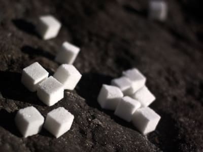 Inovasi Mengubah Metanol Jadi Gula Putih Tanpa Perlu Pertanian