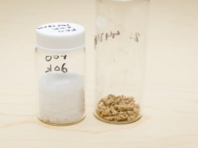 Penemuan Polimer Campuran untuk Baterai Solid-State Lebih Aman dan Tahan Lama