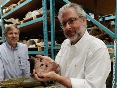 Neil Shubin Dicalonkan Pimpin NAS Saat Krisis Finansial dan Politik Mengancam