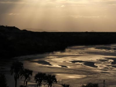 Penemuan Protein Purba Berusia 24 Juta Tahun Ungkap Jejak Evolusi Makhluk Hidup