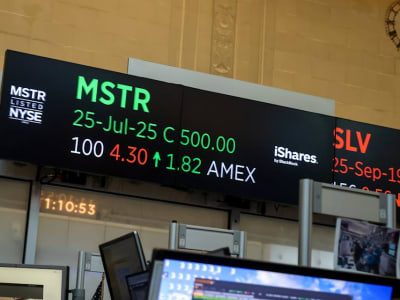 Vanguard Jadi Pemegang Saham Terbesar di MicroStrategy, Siapa Michael Saylor?