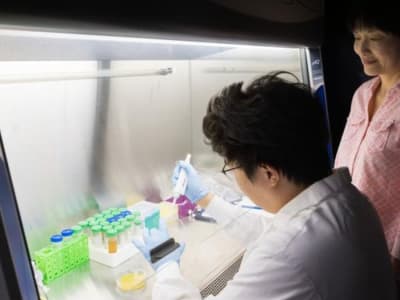 Membuat Plastik Ramah Lingkungan dari Limbah Makanan untuk Kurangi Sampah