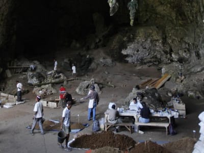 Terungkap! Homo Sapiens dan Neanderthal Berpadu Sejak 250.000 Tahun Lalu