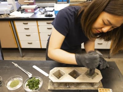 Rumput Laut Hijau: Kunci Beton Ramah Lingkungan dengan Emisi Lebih Rendah