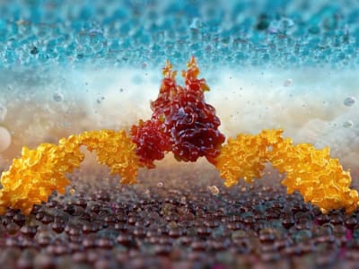 Metode Baru Terapkan Terapi Gen Hasilkan Sel Anti-Kanker Langsung di Tubuh