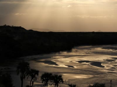 Penelitian Protein Kuno Membuka Pintu Memahami Evolusi Puluhan Juta Tahun