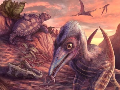 Fosil Pterosaurus Tertua di Amerika Ungkap Ekosistem Transisi Zaman Trias