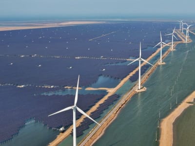 Perbedaan Besar AS-China dalam Energi Hijau dan Persaingan Teknologi