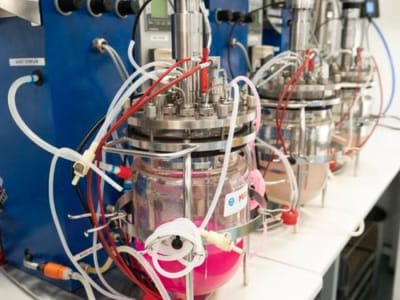 Inovasi Bioplastik Ramah Lingkungan yang Menghilang Tanpa Jejak