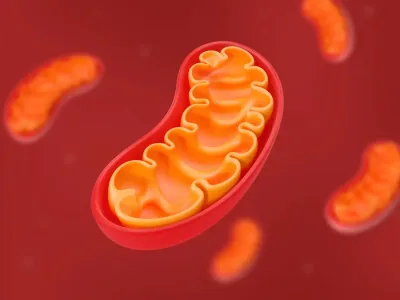 Mencegah Kerusakan DNA Mitokondria untuk Cegah Penyakit Kronis