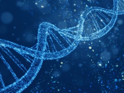 DNA Virus Kuno Ternyata Aktif Mengatur Gen dan Perkembangan Sel Manusia