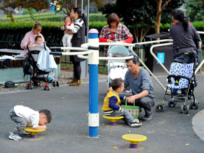 Studi Harvard Ungkap Faktor Biologis dan Genetik Penentu Jenis Kelamin Anak