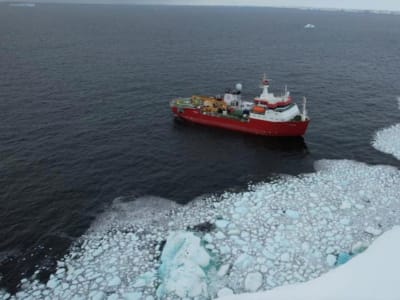 Penemuan Lanskap Purba di Antartika Buka Wawasan Baru tentang Pencairan Es