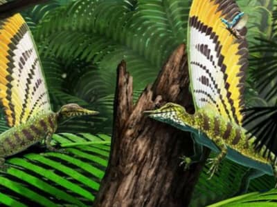 Mirasaura: Reptil 247 Juta Tahun dengan Struktur Kulit Seperti Bulu Pertama di Dunia