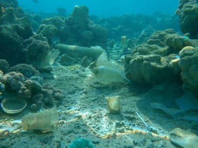 Plastik Ramah Lingkungan LAHB Terurai Cepat di Dasar Laut Dalam Jepang