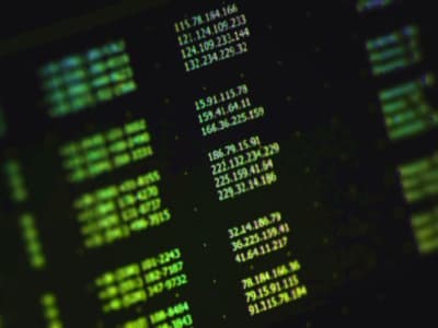 Kebocoran Data Alamat IP Pengguna Forum Hacking Leak Zone Terbuka ke Publik