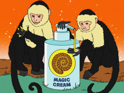 Kreativitas Hewan dalam Menjaga Kesehatan dan Melawan Parasit Secara Alami