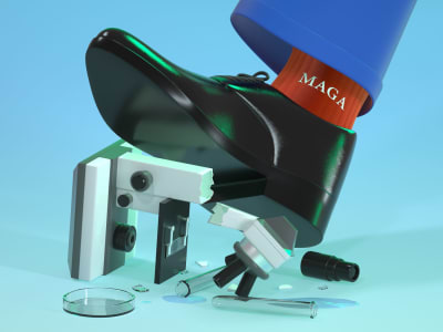 Dampak Kebijakan Trump Pada Pendanaan dan Penelitian Kanker Amerika Serikat