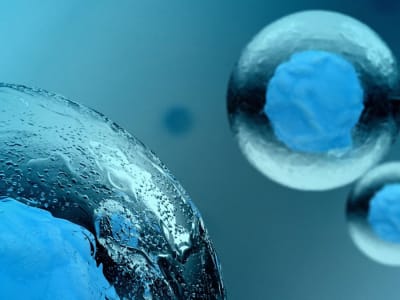 Peneliti Ciptakan Sel Buatan Terp simplest yang Bisa Bergerak Pakai Kimia