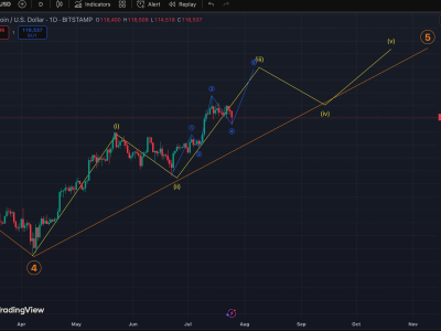 Penjualan Besar Bitcoin oleh Whale Picu Harga Turun, Namun Pemulihan Menanti