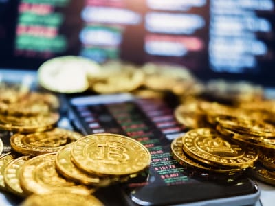 Kunci Crypto Hilang Saat Harga Naik, Bisnis Pemulihan Meroket