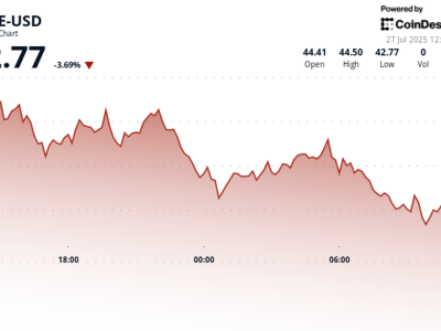 Strategi Perusahaan Baru untuk Investasi Besar-Besaran di Token Altcoin HYPE