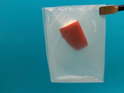 Inovasi Bioplastik Berbasis Daun yang Kuat dan Ramah Lingkungan