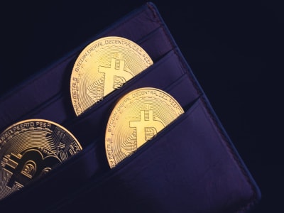 CEO Tangem: Seed Phrase Adalah Ancaman Terbesar pada Keamanan Crypto