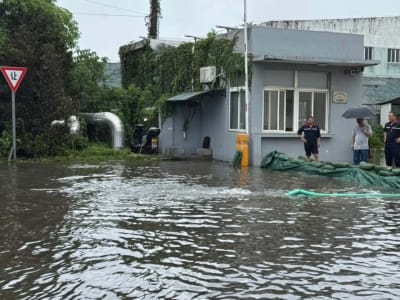Badai Tropis dan Gempa Besar: Peringatan Tsunami di Pesisir Timur Cina Dibatalkan