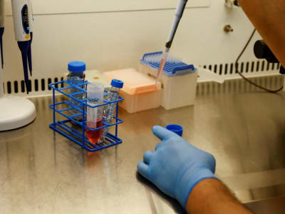 13 Universitas Indonesia Terima Sinyal Merah Integritas Ilmiah 2024