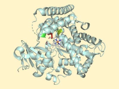 Enzim Rekayasa Baru Mengubah Sintesis Molekul Kompleks Jadi Lebih Hijau dan Presisi