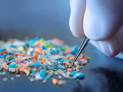 Bahaya Mikroplastik di Udara Rumah dan Mobil Bisa Risiko Kesehatan Serius