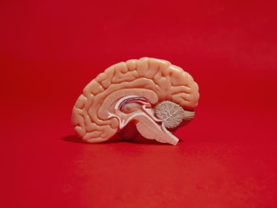 Pandemi Covid-19 Mempercepat Penuaan Otak Meski Tanpa Infeksi