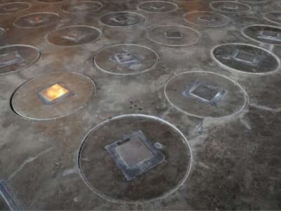 Sarang Tawon Radioaktif Ditemukan di Situs Nuklir Bersejarah Amerika Serikat