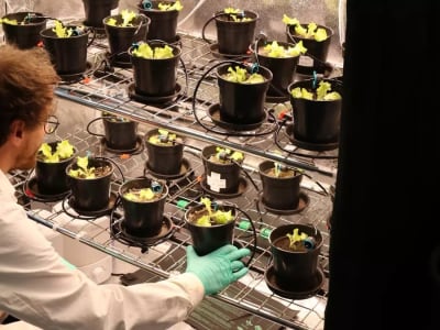 Inovasi Humify: Mengubah Limbah Organik Menjadi Solusi Cepat Untuk Menangkal Krisis Iklim