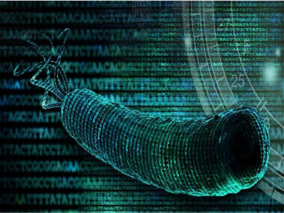 Escherichia coli Sintetis dengan Kode Genetik Dipadatkan Jadi 57 Kodon