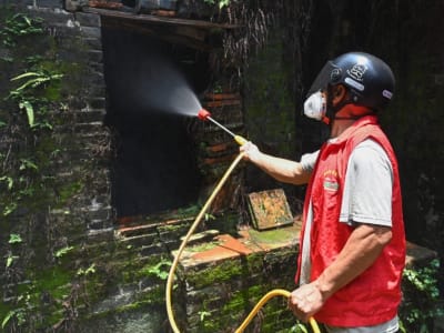 Wakil Perdana Menteri China Tekankan Pentingnya Karantina dan Pengendalian Nyamuk di Foshan