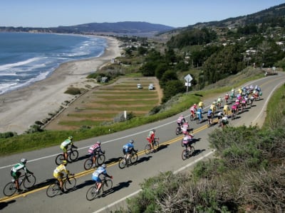 Yayasan Amal Marin Jadi Penerima Untung Terbesar IPO Figma dengan Sejarah Panjang