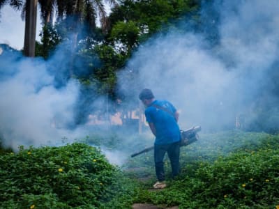 Wabah Demam Chikungunya Meningkat, Guangdong Tanggapi dengan Tindakan Tegas