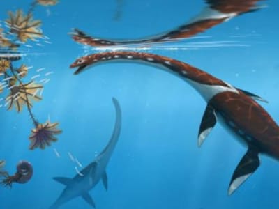 Penemuan Plesiosaur Baru Menyuguhkan Wawasan Evolusi Laut Jurassic