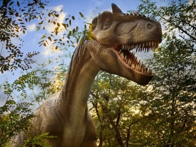Berbagai Strategi Evolusi Tengkorak Dinosaurus Karnivora Raksasa Terungkap